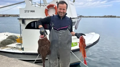 Karadeniz'de ağlara takıldı, gören şaştı kaldı!