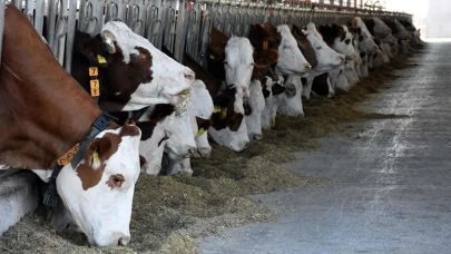 Kurban Bayramı öncesi bakanlıktan yeni düzenleme