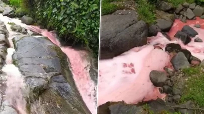 Rize'de derenin rengi kırmızıya döndü, halkı endişelendirdi