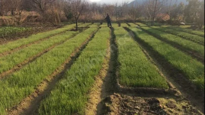 Erdek’te Yatırıma Uygun İmarlı Arazi – Sadece 2 Milyon TL!