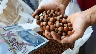 Fındıkta don felaketi sonrası fiyatlar tırmanıyor: 250 TL’yi, hatta 300 TL’yi görebilir!