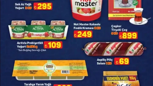 A101'de 22 Mayıs indirimleri: Yoğurt'tan karavana çeşitli fırsatlar!