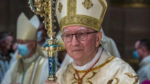 Pietro Parolin: Papa Adayı ve Merak Edilen Biyografisi