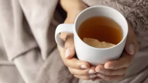 Kahve ve Siyah Çay Olarak Bilinenlerin Yerini Rooibos Çayı Alıyor: Antioksidanlarla Dolu Yeni “Süper Gıda” Trend!