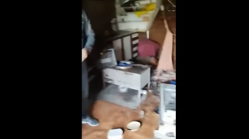 Rize'de ayılar yayla evlerine girmeye başladı, sahipleri onarım hazırlıklarına başladı.
