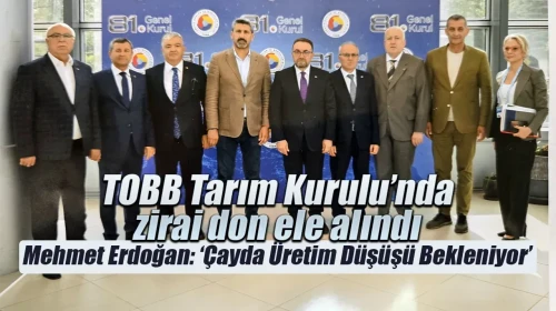 Zirai don Türkiye tarımında büyük kayıplara yol açtı, çözüm önerileri masaya yatırıldı