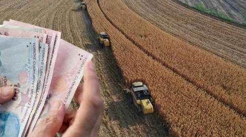 Çiftçilere 5,5 milyar lira destekleme ödemesi bugün hesaplara aktarılıyor