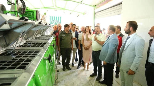 Muğla'da Zeytinyağı Kalite Yarışması'na Rekor Katılım ve Keyifli Etkinlikler Düzenlendi
