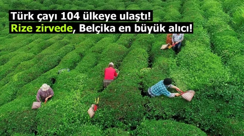 Türk çayı 104 ülkeye ulaştı! Rize zirvede, Belçika en büyük alıcı!