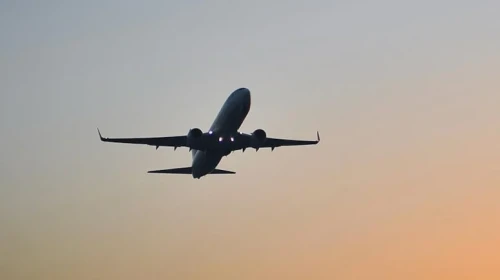 Melbourne-Brisbane uçağında yılan paniği: Uzman yakalayıcı müdahale etti!