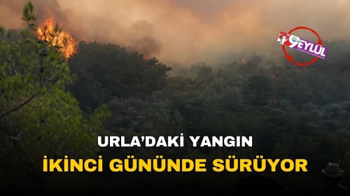 Urla'daki orman yangınına müdahale devam ediyor, 583 personel ve 17 hava aracı alevlerle savaşmakta.