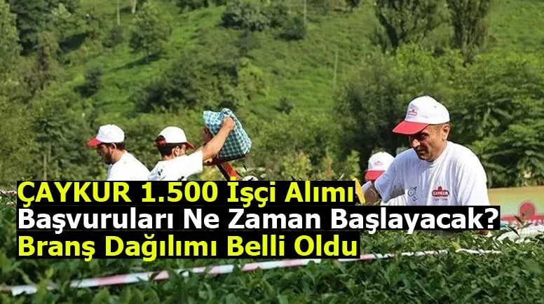 ÇAYKUR, 1.500 yeni işçi alımı için başvuru tarihlerini açıkladı! İş alanları ve kontenjan dağılımı da netleşti