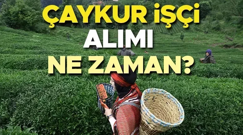 ÇAYKUR işçi alımında resmi açıklama bekleniyor, adaylar kaygılı!