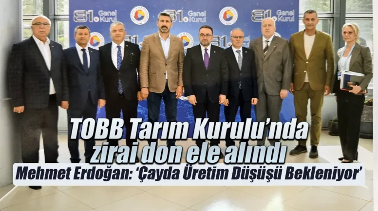 Zirai don Türkiye tarımında büyük kayıplara yol açtı, çözüm önerileri masaya yatırıldı