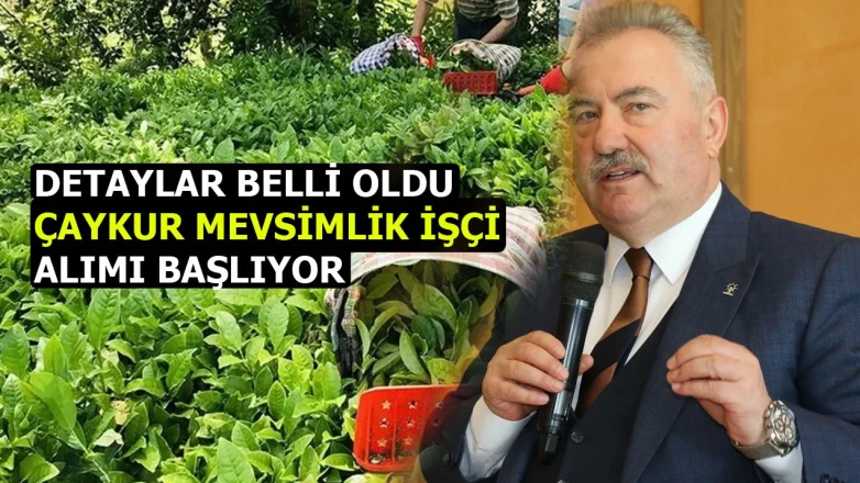 ÇAYKUR'da 1500 Geçici İşçi Alım Süreci Başlıyor! Başvuru Koşulları ve Bilgiler Paylaşıldı!