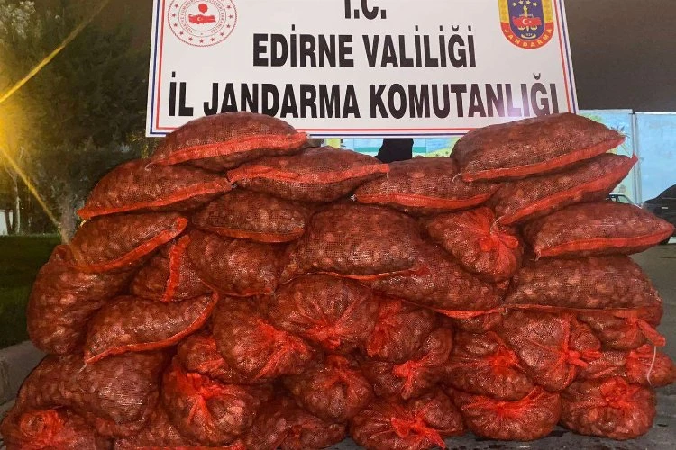 Edirne Jandarması 600 kilogram kaçak midye ele geçirdi