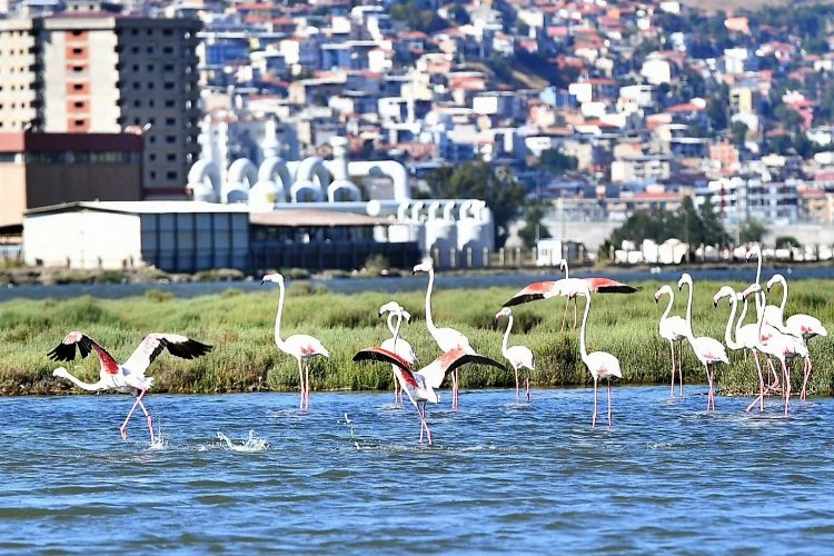Doğaseverler İzmir