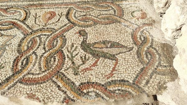 Hadrianopolis kazılarında yeni mozaikler bulundu