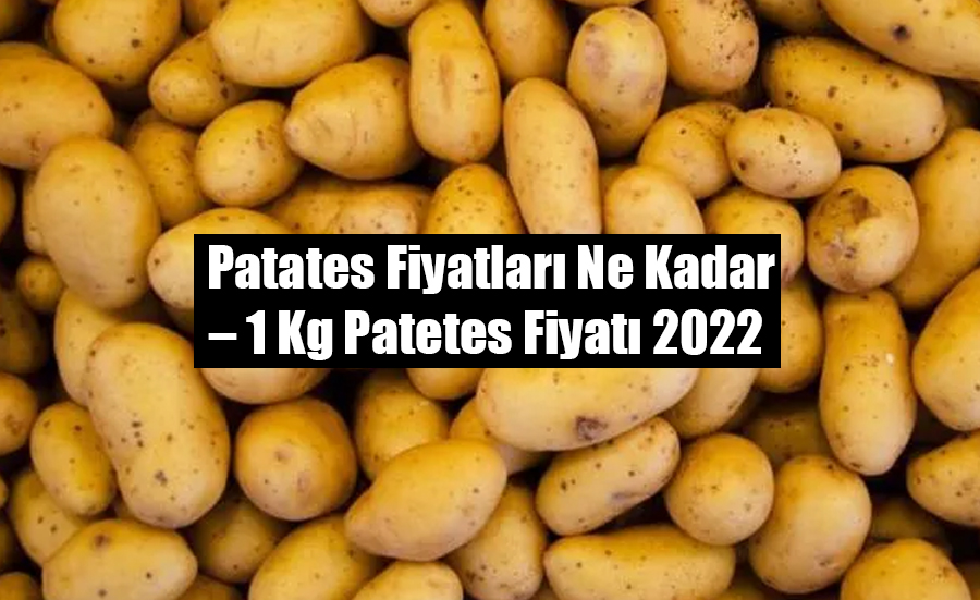 Patates Fiyatları Ne Kadar – 1 Kg Patetes Fiyatı 2022