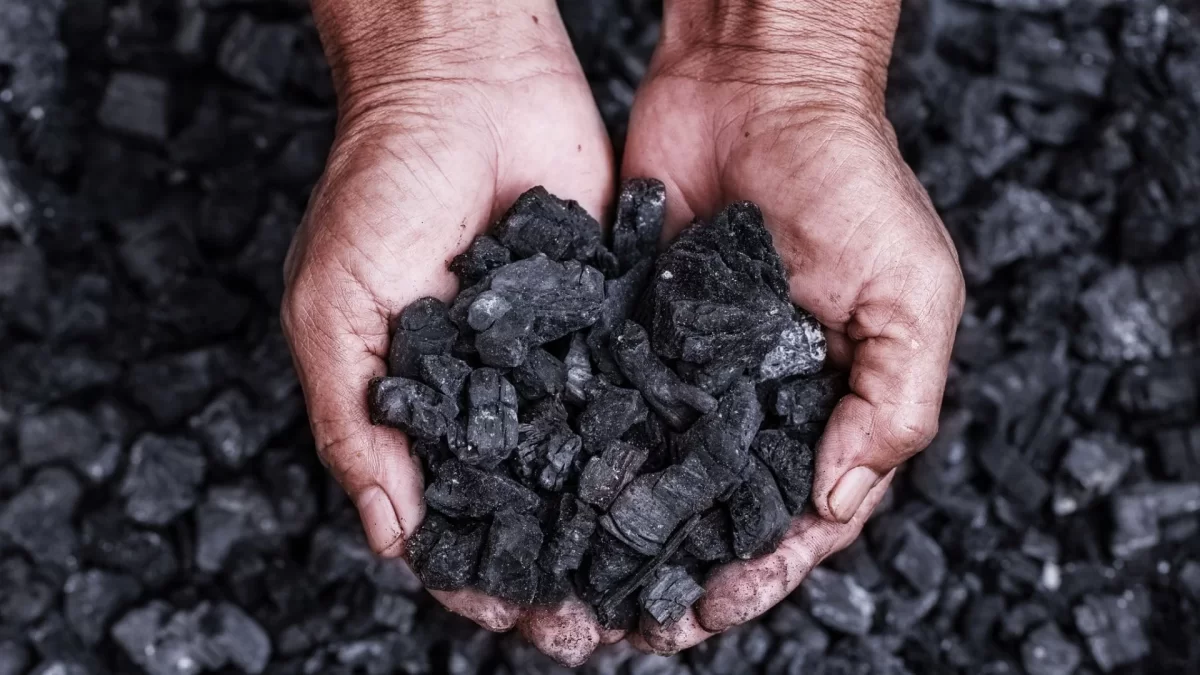 1 Ton kömür fiyatı 2022 Ekim - Kasım - Aralık! Bir ton kömür kaç TL?