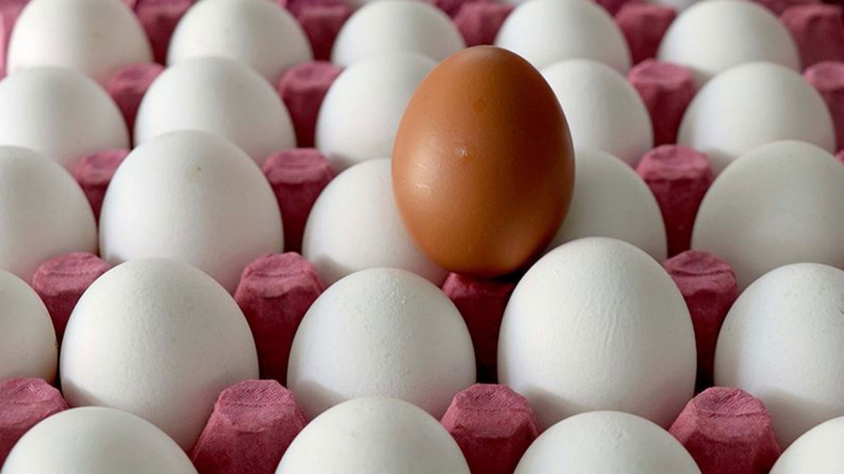 Kuş gribi salgını ve enflasyon: Yumurta fiyatları uçtu