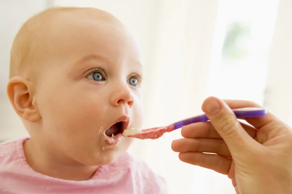 Bebeklerin Ek Gıda Dönemi: Sağlıklı Beslenme İçin Bilmeniz Gerekenler