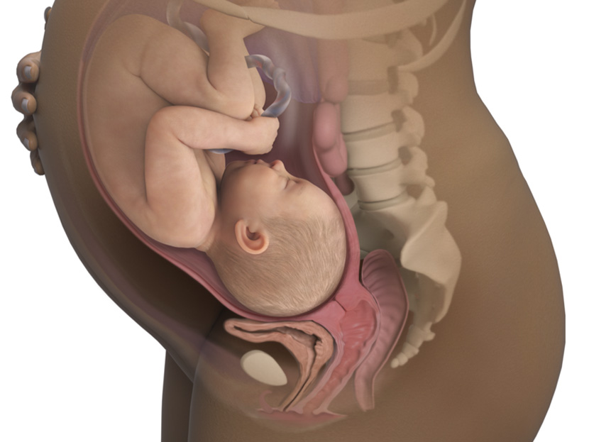 Anne Karnındaki 39. Haftada Bebek Gelişimi: Doğum Yaklaşıyor