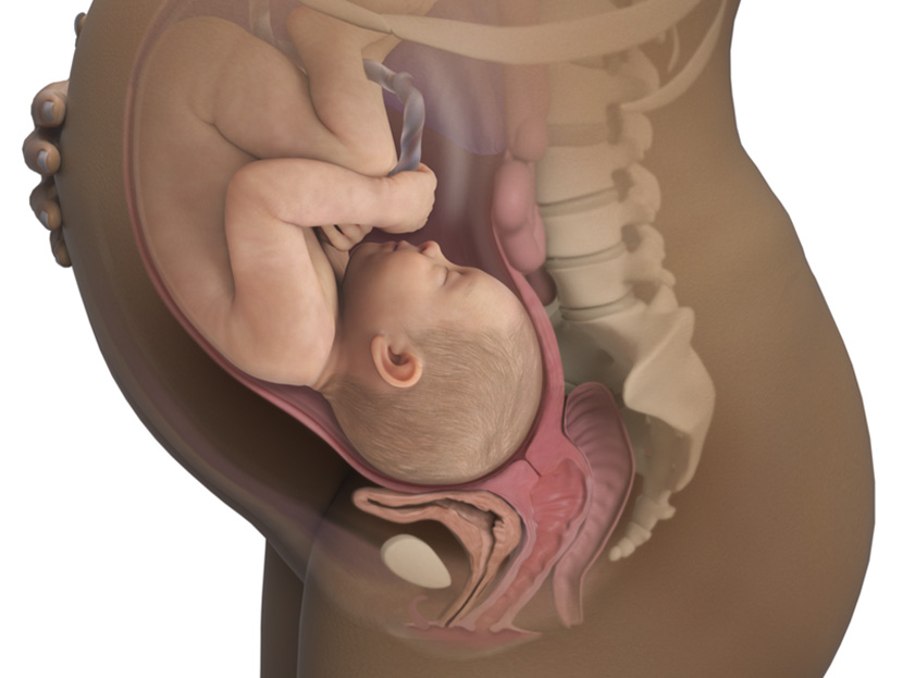 Anne Karnındaki 40 Haftalık Bebek Gelişimi ve Doğum