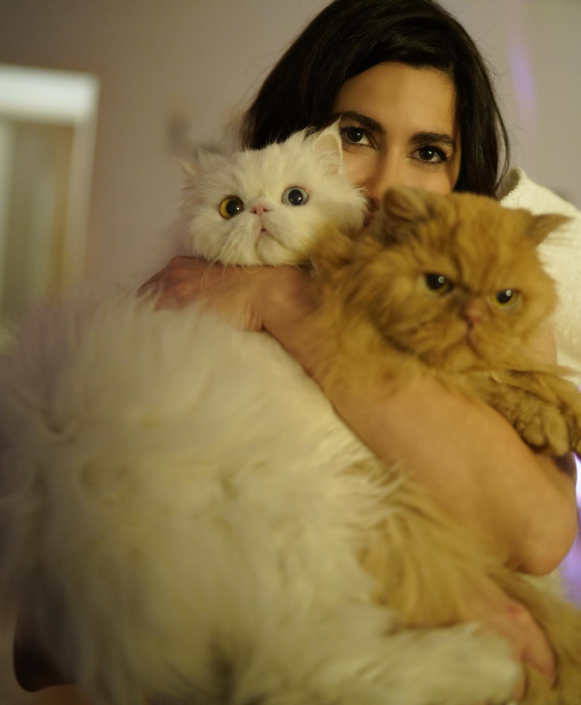 Başarılı oyuncu Nesrin Cavadzade, komşularıyla kedi besleme konusunda kavga etmediğini açıkladı