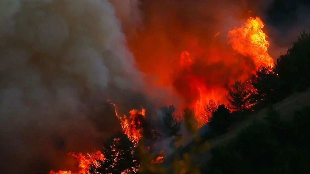 Kanada’da 110 farklı noktada orman yangını