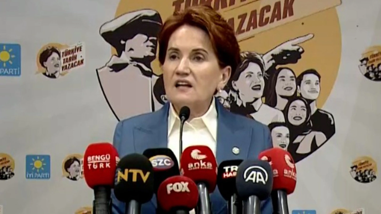 Meral Akşener: Erdoğan