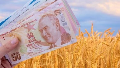 Güncel Buğday ve Arpa Fiyatları - Haziran 2023